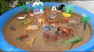 Cleaning DWH Animals Super Toys Dog Goose Horse Ant Donkey