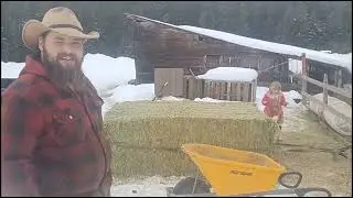 How to unload a 15k haybale with no tractor! ...Fancy farm style