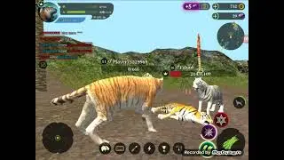 Lvl 5 Enhanced Damage the tiger pvp and coop (Read desc)