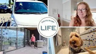 Посмотрите, кто едет домой / Дни из моей жизни домохозяйки: 25–26 ноября 2025 г.