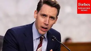 'You Must Feel Like Such An Idiot': Josh Hawley Rages Against Fraud In Spending Of Taxpayer Dollars