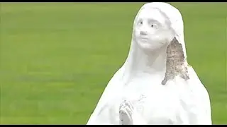 Virgin Mary statue vandalized at Evansville Diocese