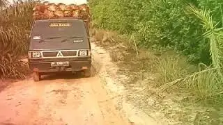 L300 muatan 3 ton di kebun