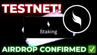 XION Testnet project full detail