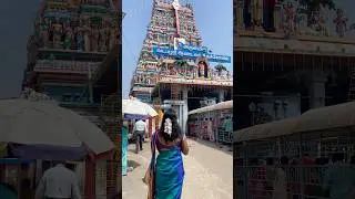 🙏🏼Vadapalani Murugan Temple❤️ 🛕 A Divine Experience#chennai #tamilvlog #tamil #temple #murugan
