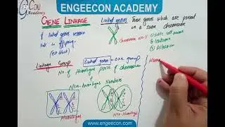 Lecture #20|| Gene Linkage|| Inheritance Chapter|| Engeecon Academy Biology Lectures 
