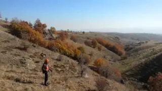 Oz the Wizard od bakica umka keklikle tanıştı