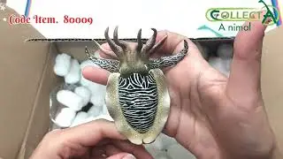 Unboxing Collecta 2024 Batch 1_ Minizoo store!!😍😮👍