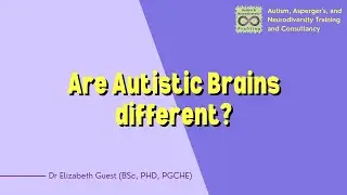 Are Autistic Brains Different?