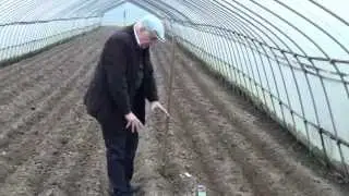 Different ways of using bamboo charcoal based soil improver