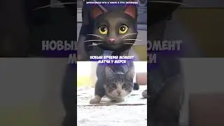 Новый ПОТГ Мерси из Мема с Котиком  #overwatch2 #ow2 #overwatchclips #potg #new