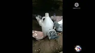 Paronda ng ibon Part2&Update Narin sa ibon kong Nakauwi sa Bambang NEAVA VIZCAYA