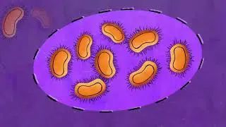 Can bacteria help keep ships clean? &ndash; Make the connection, with EU-science