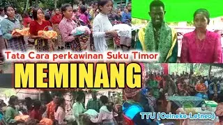 Tata cara perkawinan adat suku Timor, Meminang Wanita, Nusa Tenggara Timur, TTU
