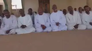 أولاد الشيخ الجميعابي كرسي الغوث