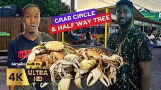 ✓Showing My Haitians Friend HALF WAY TREE And CRAB CIRCLE For The First Time | 2025 4K