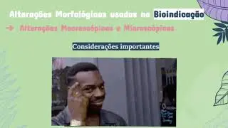 Biomonitoramento