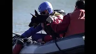 SARSCENE 1998   Games   SAR Dogs   High Angle demo