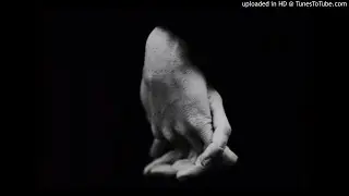Amphibious Zoo Music - Never Leave You