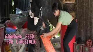 Grinding Feed for Livestock | Simple Farm Life in the Countryside