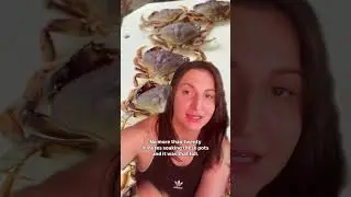 Trapping these cwabs #crabbing