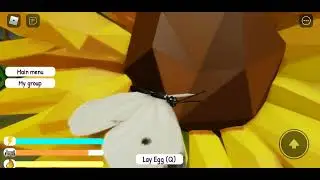 a peek into the life of a butterfly  1 &mdash; butterfly simulator