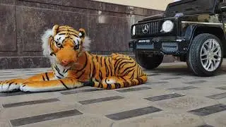 Experiment  Car vs LEGO, TOYS, LIONS, CRUSH. |ДАВИМ ПРЕДМЕТЫ ЭКПЕРИМЕНТ С МАШИНОЙ ЛЕГО ИГРУШКИ ЛЕВ