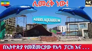 ADDIS ABABA REBORN: Kazanchis Sport Park & Aquarium Park Walking Tour (2026)