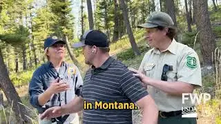 Bears can be anywhere! Be bear aware.