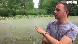 VIDÉO. Cellettes (Loir-et-Cher) : le Beuvron a atteint un niveau particulièrement bas