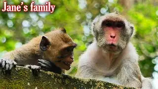 Sweet family, Rare time for Jazzy with mother, But she can't accept i_nterruptedd from Santiago