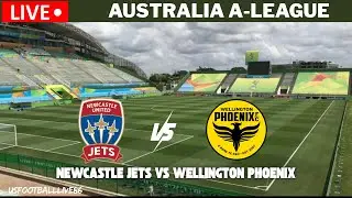 Newcastle Jets vs Wellington Phoenix &ndash;Australia A-League Live |SP Football Simulation & Custom Score
