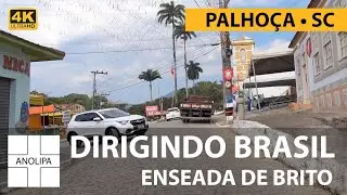Dirigindo Brasil【4K 60fps】Enseada do Brito - PALHO&Ccedil;A - SC | POV driving brazil