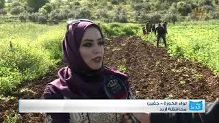 ربط مباشر  محافظة اربد  لواء الكورة  جفين