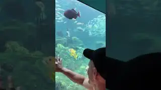 Acuario de Tampa Fl #viralvideo #youtube #vlog #minivlog #2025 #tampa