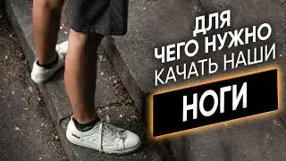 Зачем качать ноги? Почему для спортсмена важно тренировать ноги?