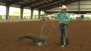 BreakawayRoping.com: Breakaway Roper's Grip