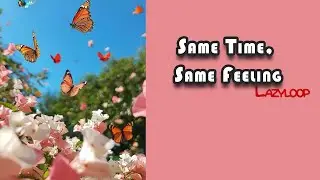 Same Time, Same Feeling 💘