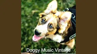 Resting Puppies - Feelings