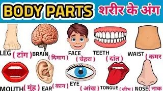 शरीर के अंगों के नाम | Learn Body Parts Name in English & Hindi | Kids Body Parts Learning
