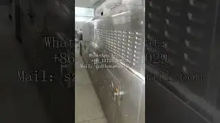 Microwave tunnel style pet food drying and sterilization machine, cat litter drying equipment.