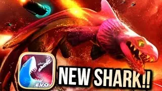 Gila Gila Game - New Shark
