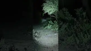 🔴 Explore Daerah Tertinggi Gorontalo | Sang Adipati