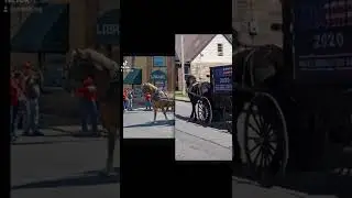 Why do the Amish Love Trump? (They dont have Twitter or any media.) 😐 So all they see is his results