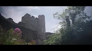 The Living Coast  | Wildlife & Natural Environment