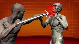 Human Weapon Ep. 04 [Savate] All 3D Animations and Physics Formulas [Compilation] Martial Arts