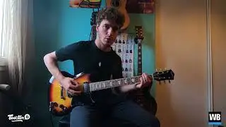 EAGLETONE SOUTH STATE DC100 SUNBURST - Test & Avis d'un client Woodbrass