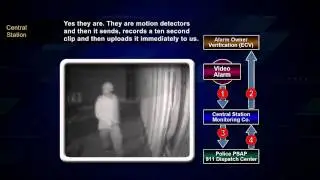 What is Video Verification? - Four Different Response Options - PPVAR.org