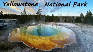 Yellowstone National Park: Grand Prismatic Spring, Old Faithful, Mount Washburn, bison jams, & more!