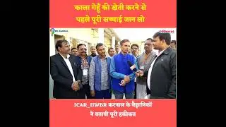 The dark truth about Black Wheat! Dr. Anuj Kumar ICAR_IIWBR Karnal